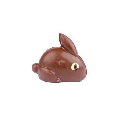 lapin lapin