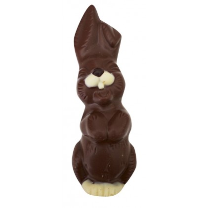 Couple de lapins Couple de lapins