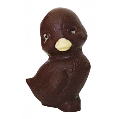 Petit Poussin Petit Poussin